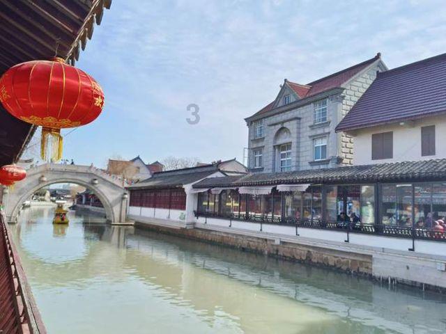 救援大嘴鸟